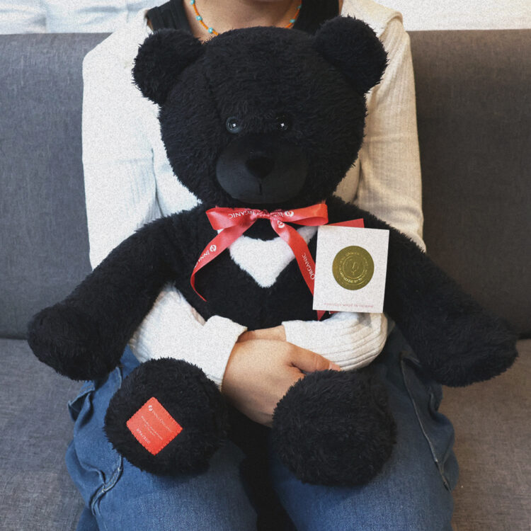 New【手工限量】Inna Bear 台灣黑熊公仔 - Image 2