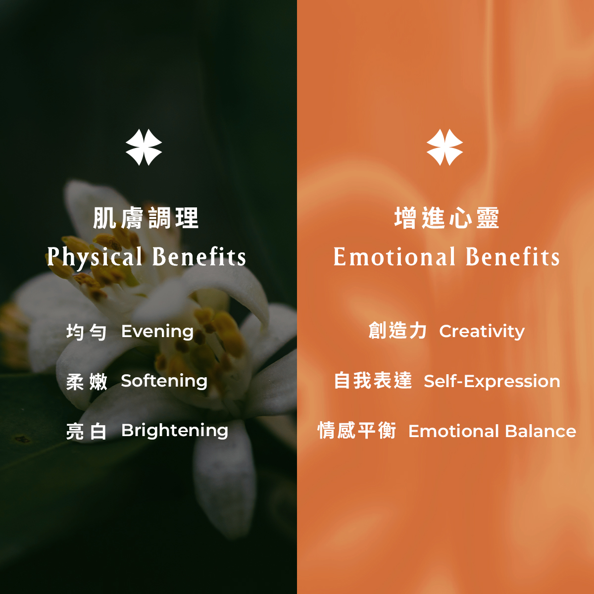 【面膜限時任選7折起】橙花嫩白精油面膜 - Image 3