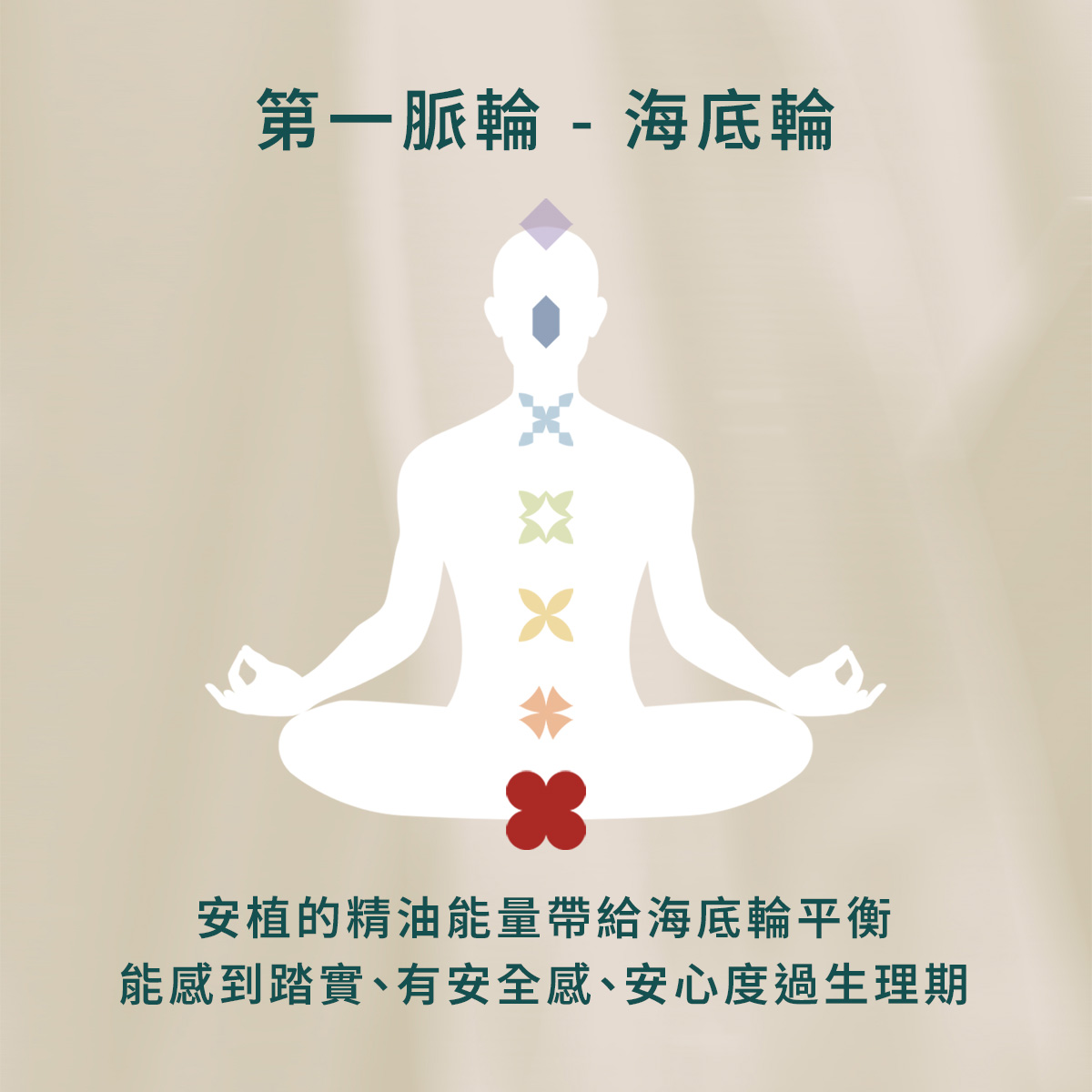 New NO. 1 安植精油滾珠瓶 - Image 5