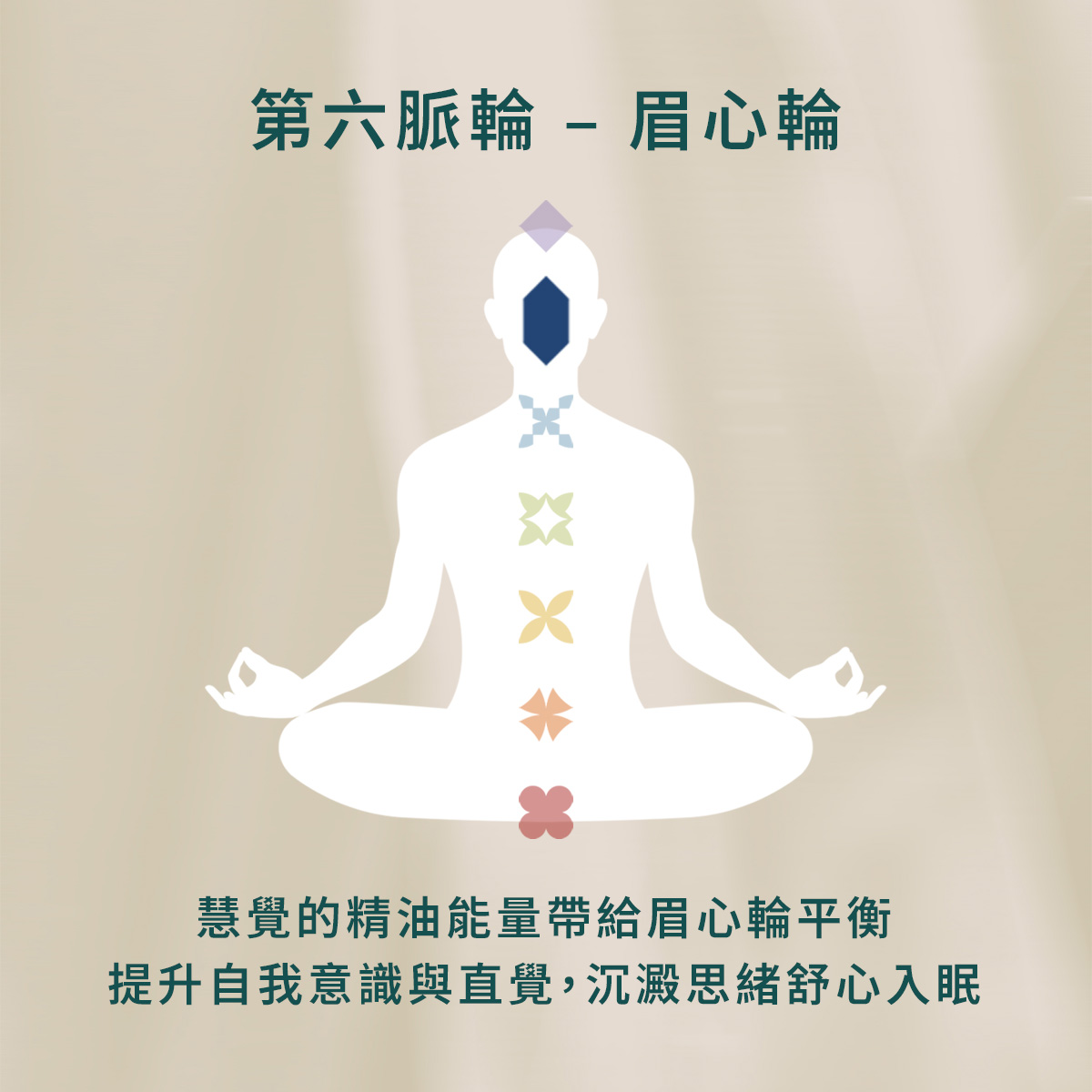 New NO. 6 慧覺精油滾珠瓶 - Image 5