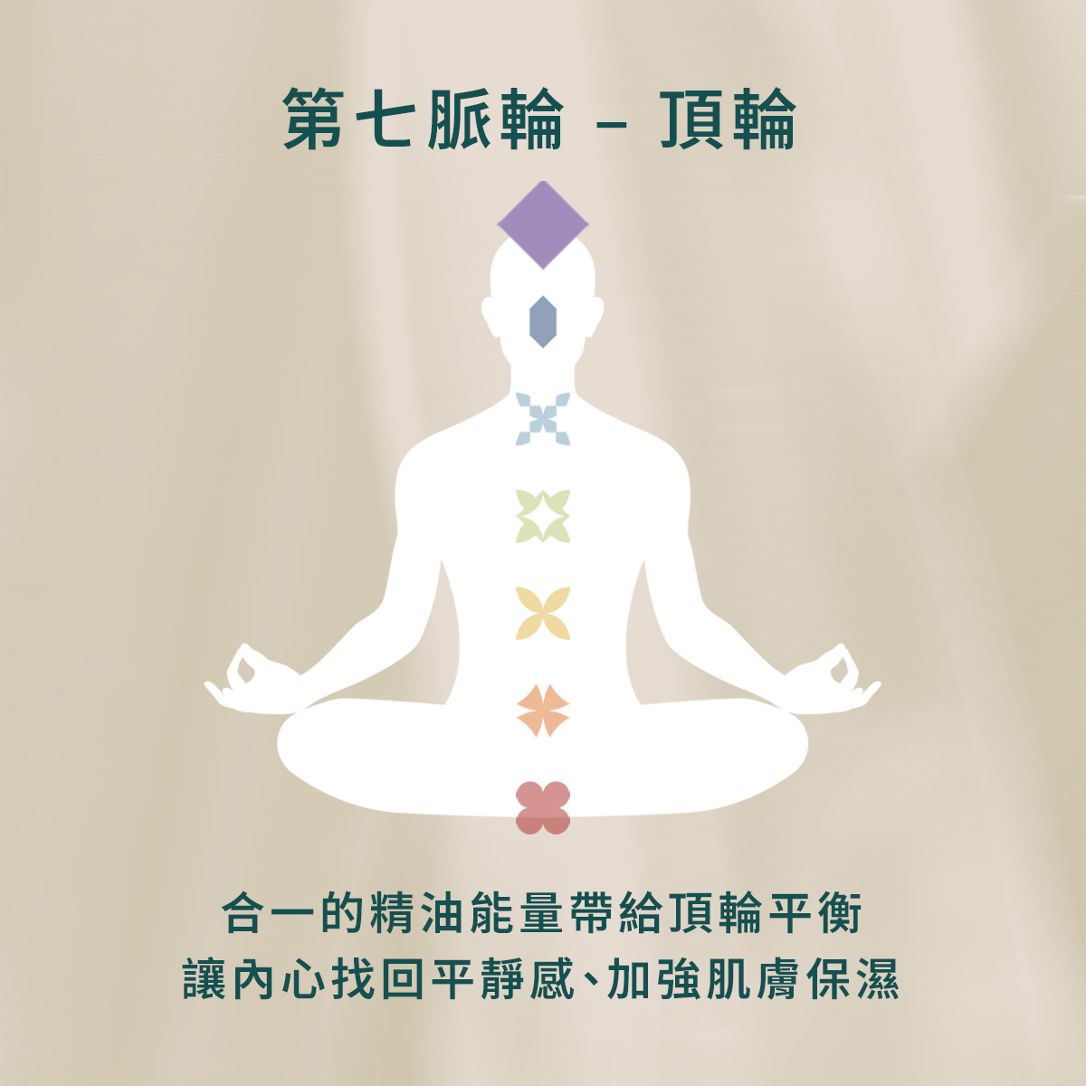 New NO. 7 合一精油滾珠瓶 - Image 5