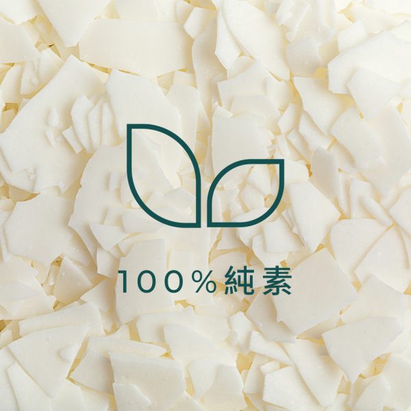 100Vegan